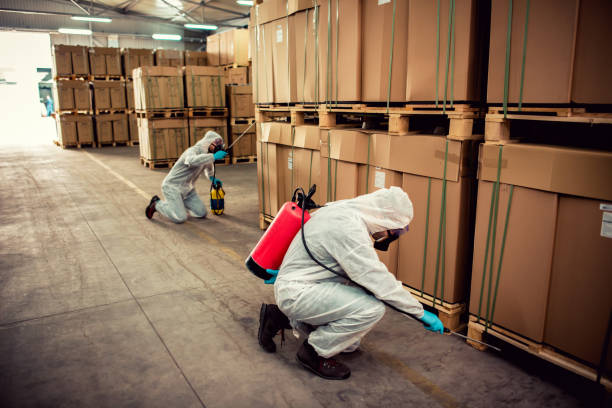 Flea Control Services in Round Lake Heights, IL