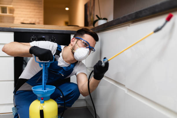 Best Pest Control Near Me in Round Lake Heights, IL