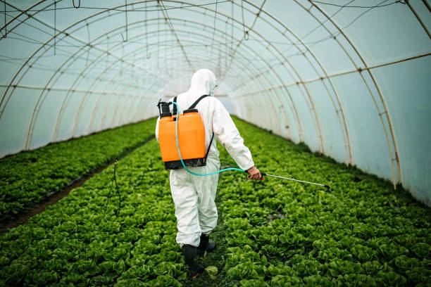 Best Insect Control  in Round Lake Heights, IL