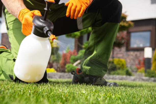 Best Ant Control Services  in Round Lake Heights, IL
