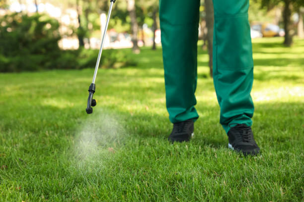 Best Exterminator Services  in Round Lake Heights, IL