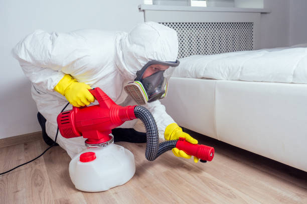 Best Affordable Pest Control Services  in Round Lake Heights, IL