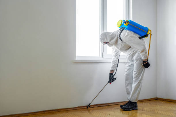 Wasp Removal Services in Round Lake Heights, IL