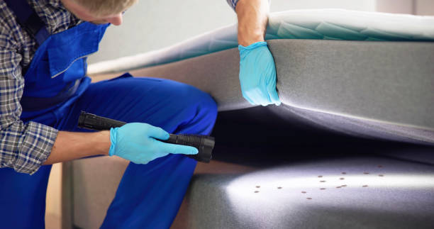 Flea Control Services in Round Lake Heights, IL