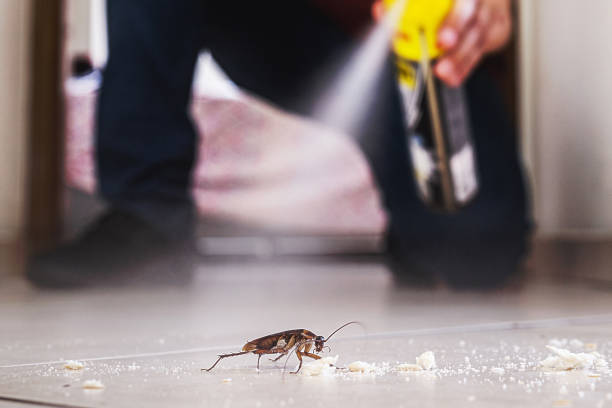 Best Pest Prevention Services  in Round Lake Heights, IL