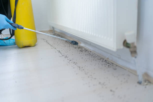 Best Best Pest Control Companies  in Round Lake Heights, IL