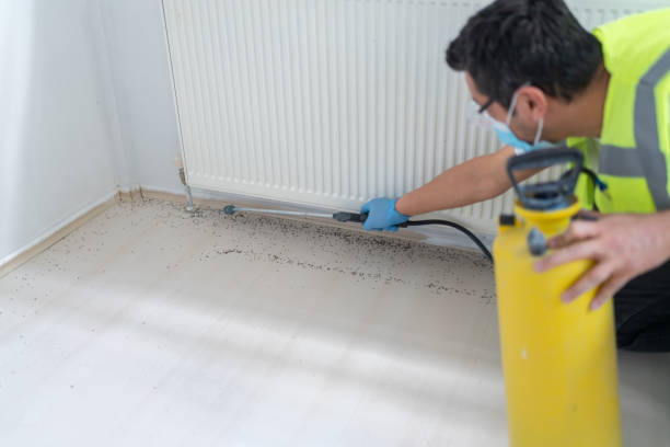 Best Cockroach Control Services  in Round Lake Heights, IL